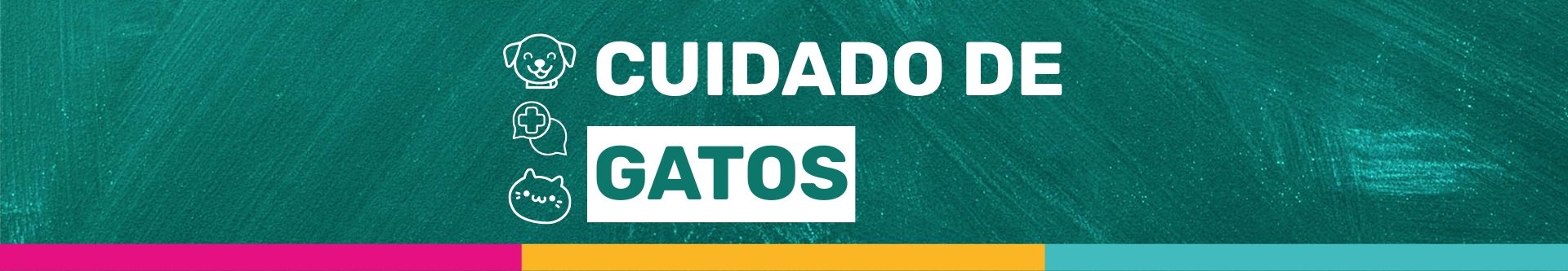 cuidado-gatos cuidado-gatos
